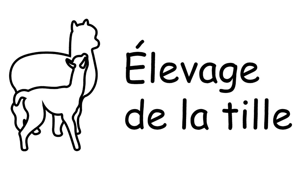 Elevage de la tille