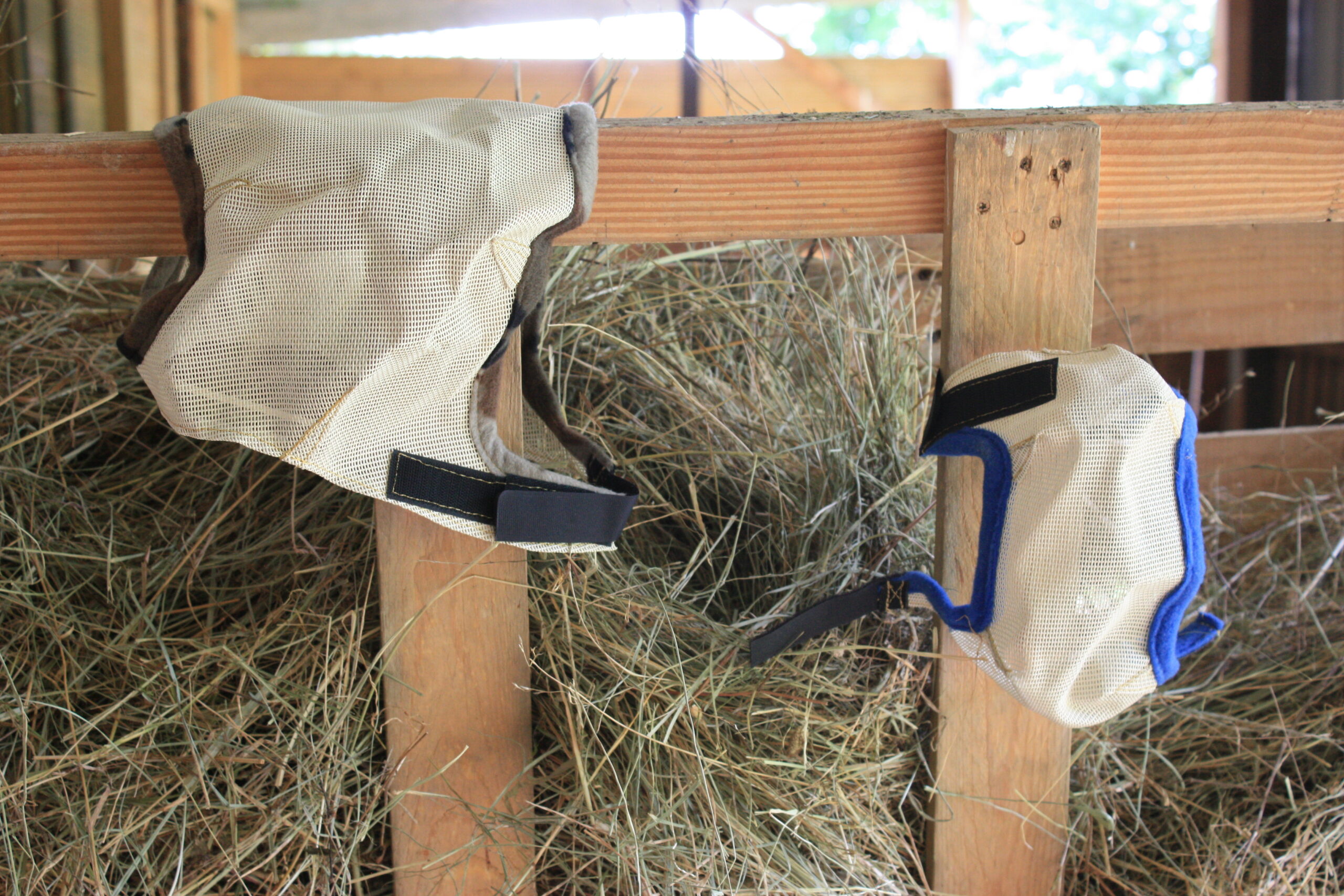 Filet de protection pour alpaga Association française Lamas et Alpagas