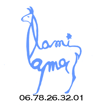Association Ami Lama
