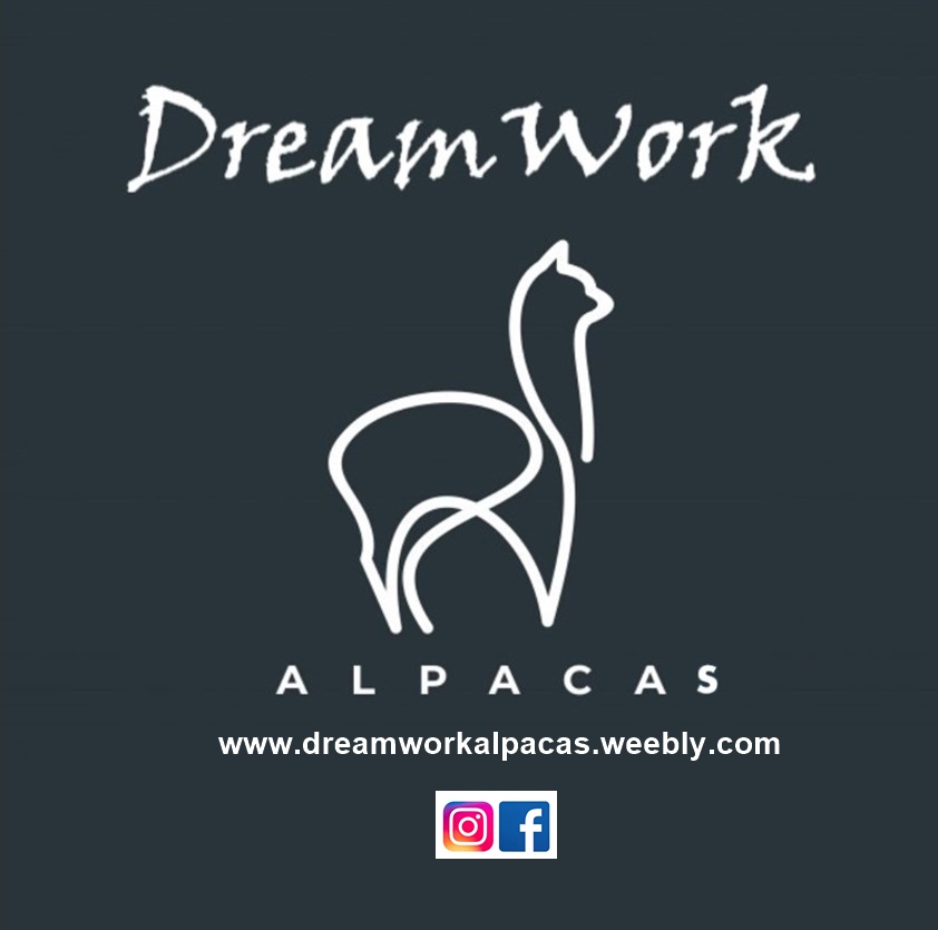 Dreamwork Alpacas