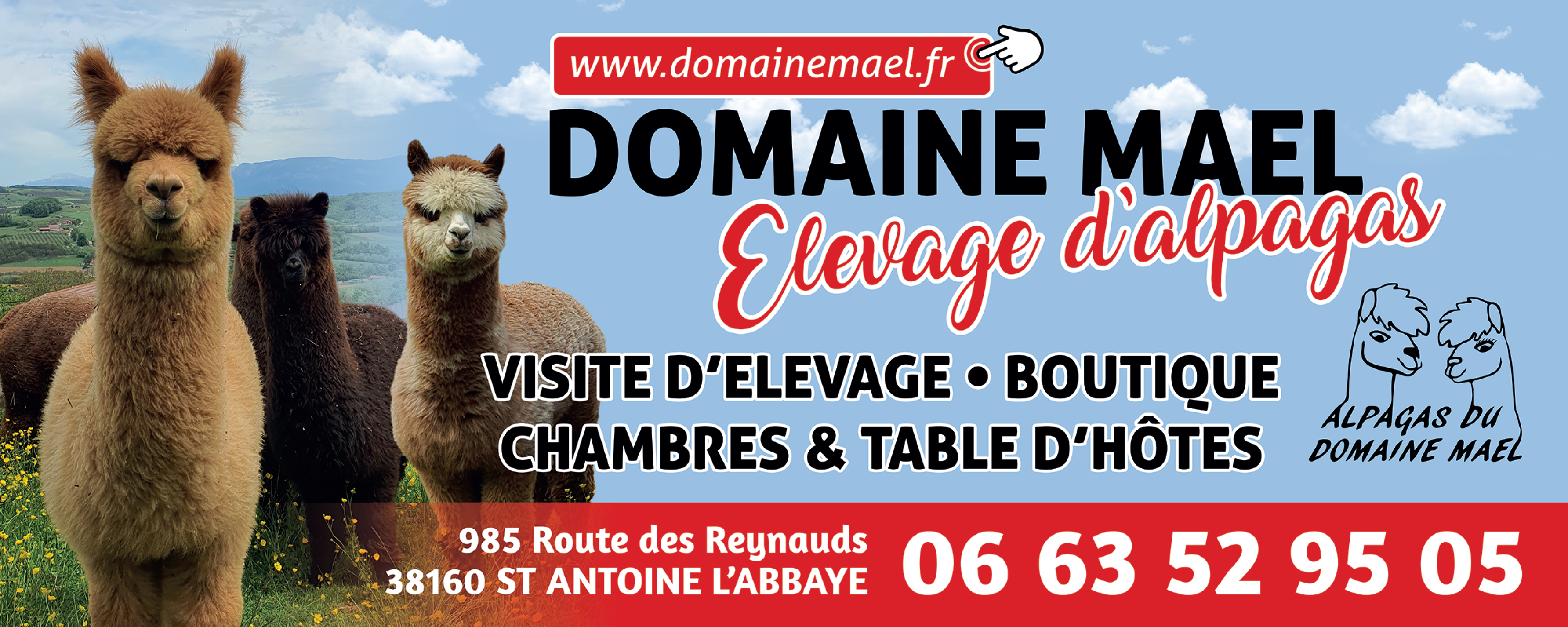 LES ALPAGAS DU DOMAINE MAEL