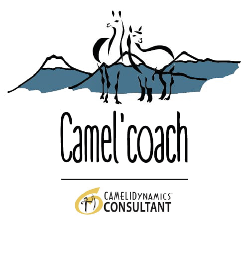 Camel’coach et formation pour vétérinaires (SNGTV)