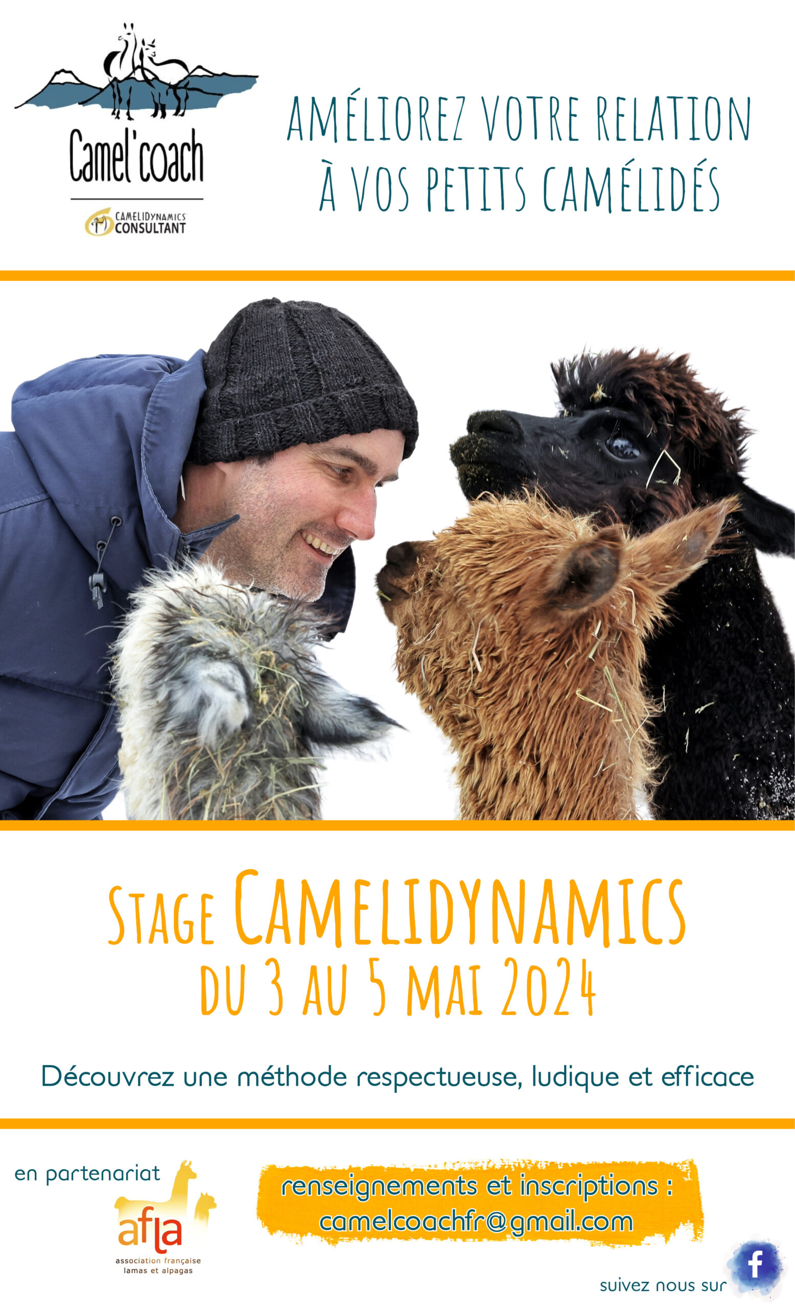 Stage CAMELIDynamics – niveau 1 – du 3 au 5 mai 2024